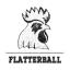 flatterball-blog-fur-europaische