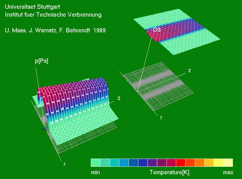 Simulation reaktiver Strömung